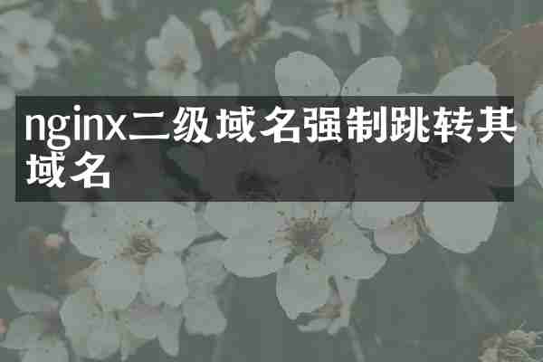 nginx二级域名强制跳转其他域名