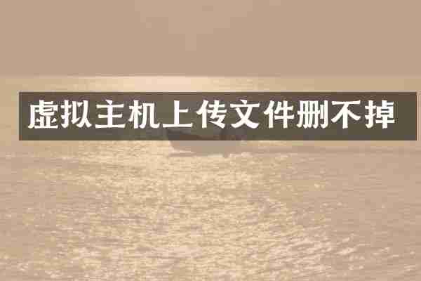 虚拟主机上传文件删不掉
