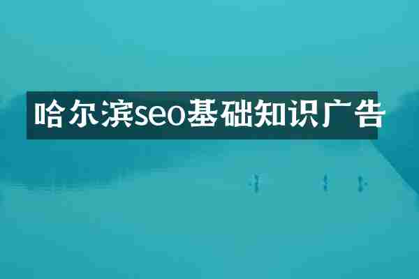 哈尔滨seo基础知识广告