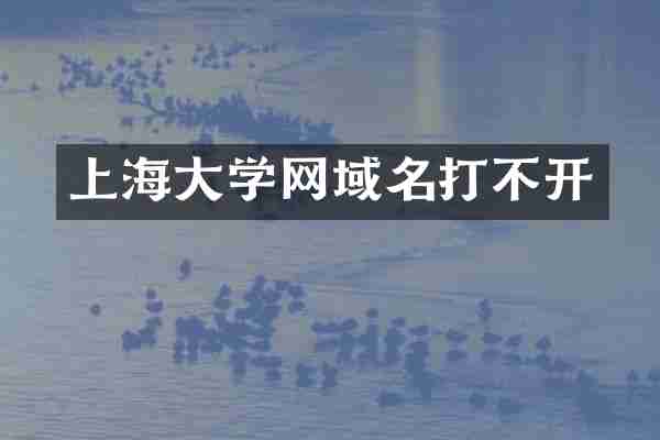 上海大学网域名打不开