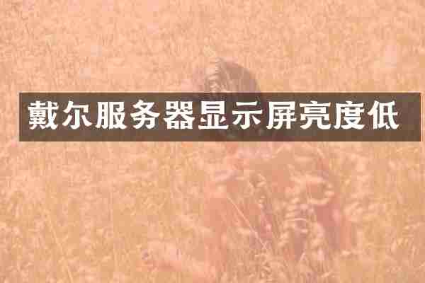 戴尔服务器显示屏亮度低