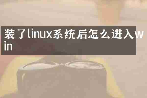 装了linux系统后怎么进入win