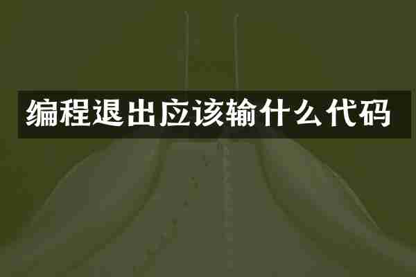 编程退出应该输什么代码