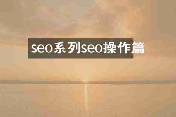 seo系列seo操作篇