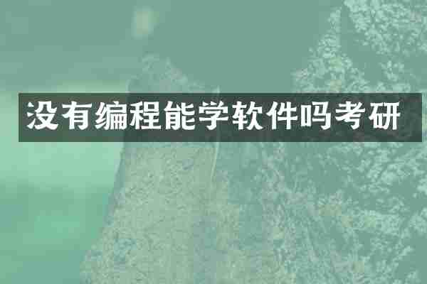 没有编程能学软件吗考研