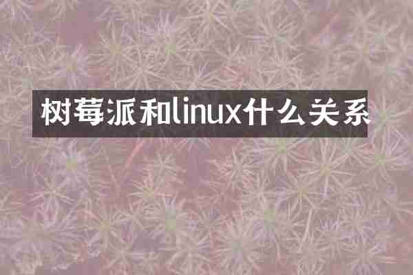 树莓派和linux什么关系