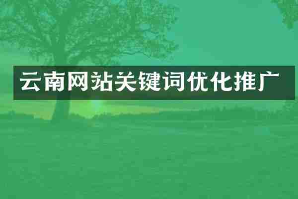 云南网站关键词优化推广