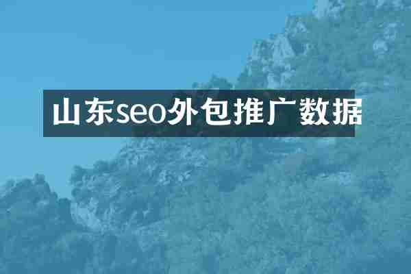 山东seo外包推广数据