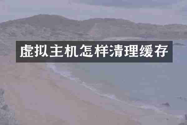 虚拟主机怎样清理缓存