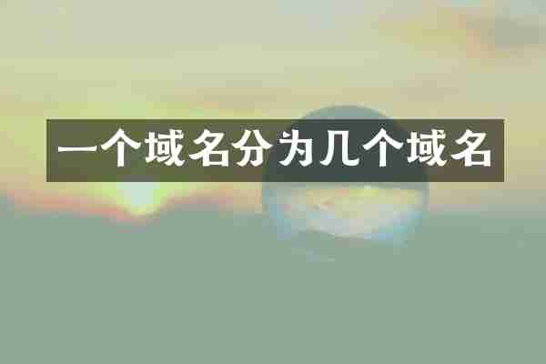 一个域名分为几个域名