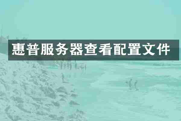 惠普服务器查看配置文件