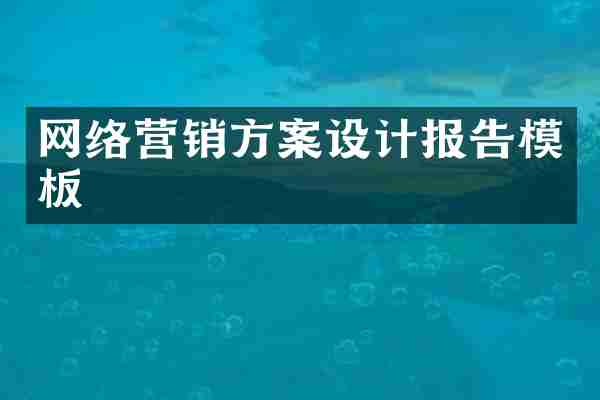 网络营销方案设计报告模板