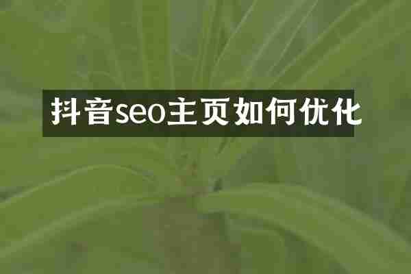 抖音seo主页如何优化