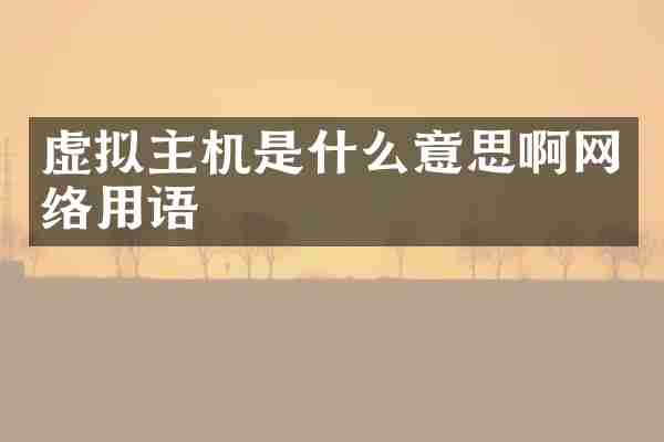 虚拟主机是什么意思啊网络用语
