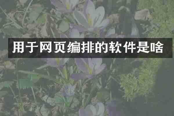 用于网页编排的软件是啥