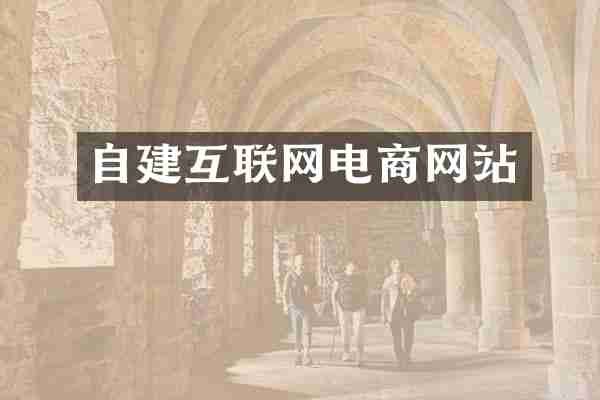 自建互联网电商网站