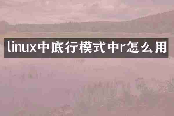 linux中底行模式中r怎么用