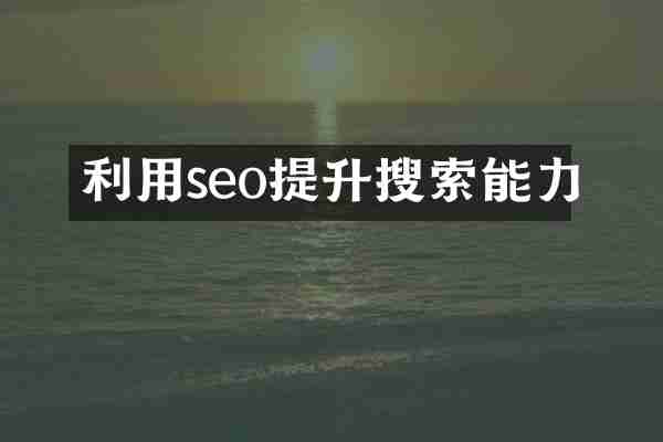 利用seo提升搜索能力