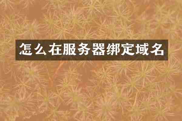 怎么在服务器绑定域名