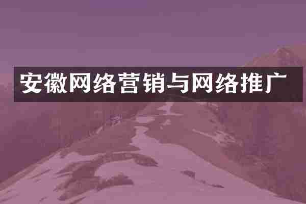 安徽网络营销与网络推广