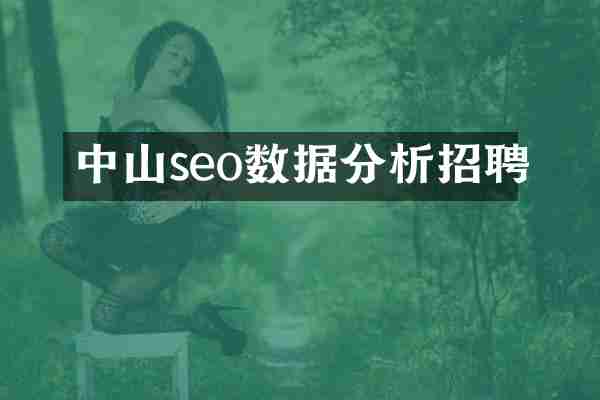 中山seo数据分析招聘