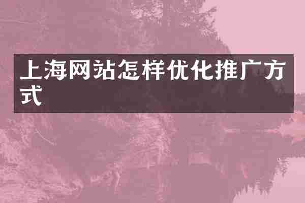 上海网站怎样优化推广方式