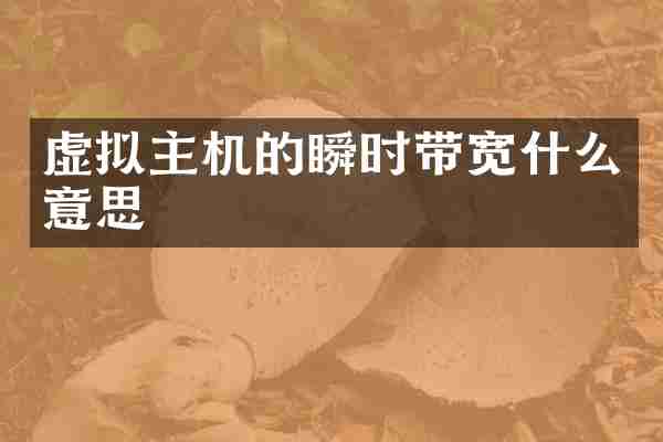 虚拟主机的瞬时带宽什么意思