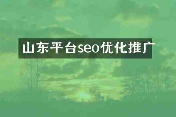 山东平台seo优化推广