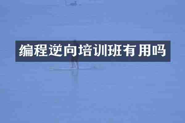 编程逆向培训班有用吗