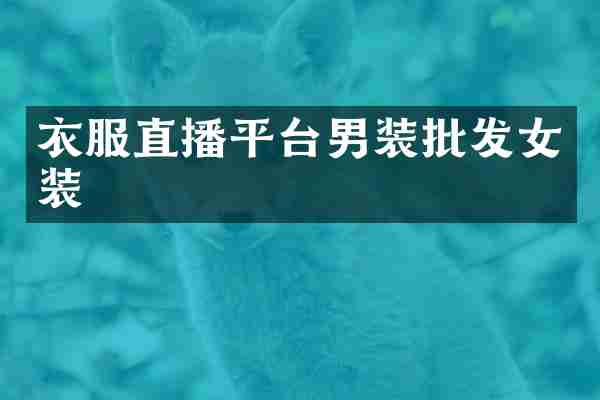 衣服直播平台男装批发女装