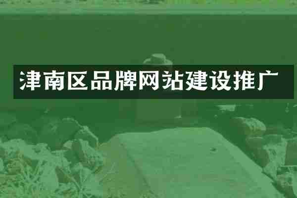 津南区品牌网站建设推广