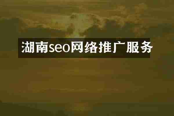 湖南seo网络推广服务