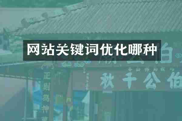 网站关键词优化哪种