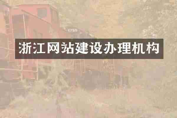 浙江网站建设办理机构