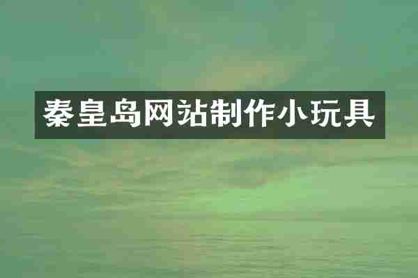 秦皇岛网站制作小玩具