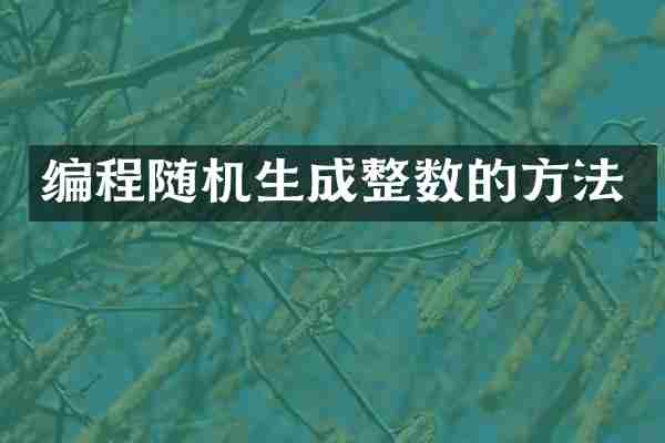 编程随机生成整数的方法
