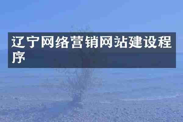 辽宁网络营销网站建设程序