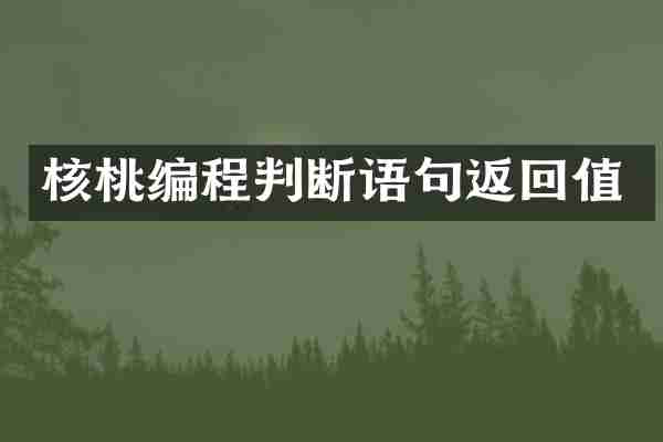 核桃编程判断语句返回值