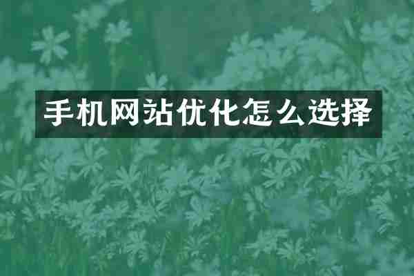 手机网站优化怎么选择