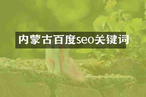 内蒙古百度seo关键词