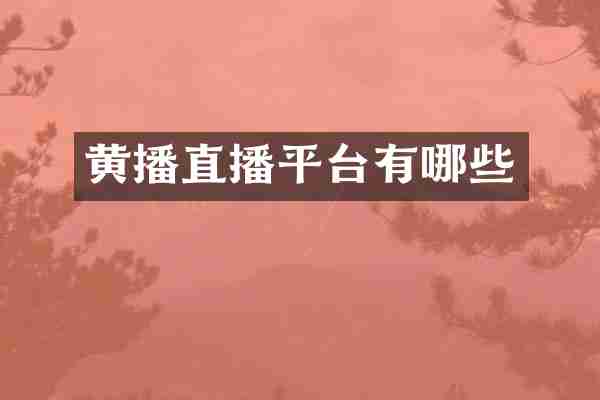 黄播直播平台有哪些