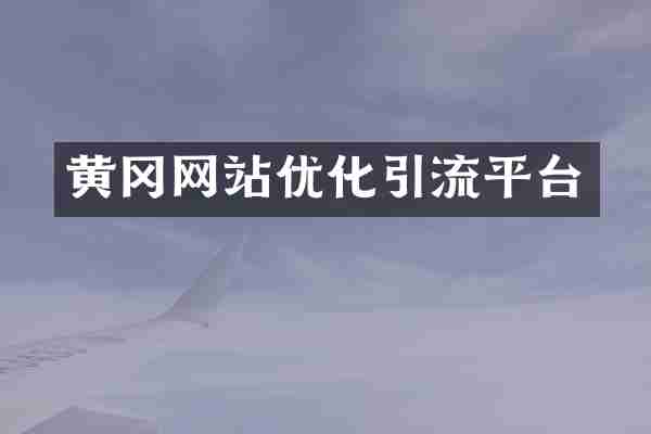 黄冈网站优化引流平台