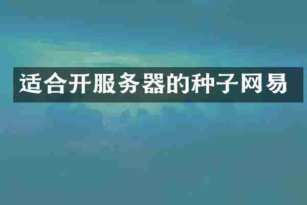 适合开服务器的种子网易