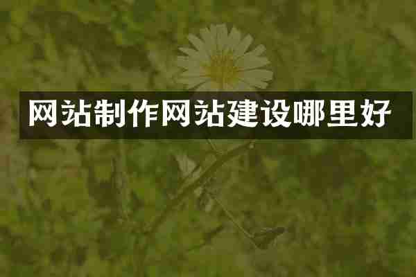 网站制作网站建设哪里好