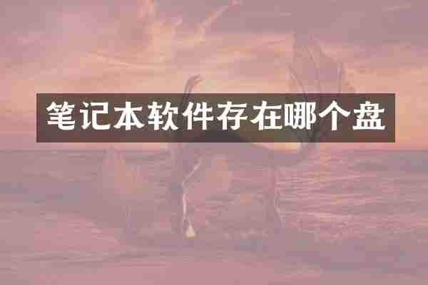 笔记本软件存在哪个盘
