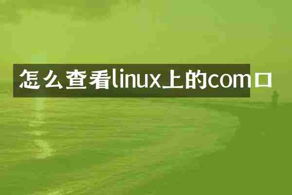怎么查看linux上的com口