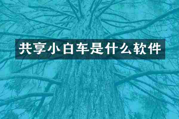共享小白车是什么软件