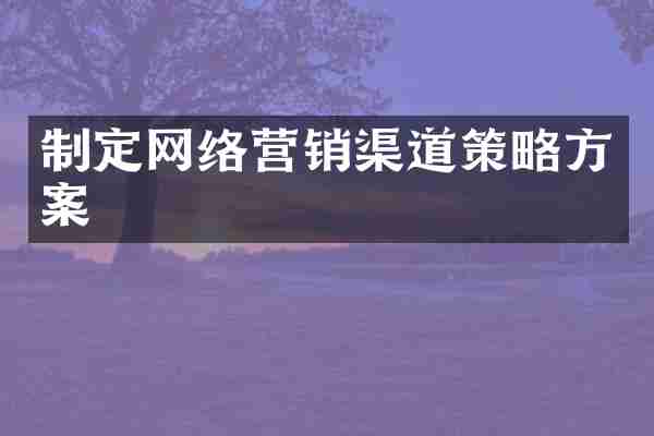 制定网络营销渠道策略方案