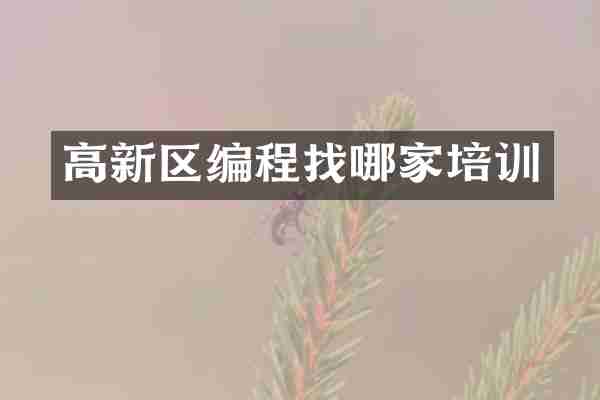 高新区编程找哪家培训