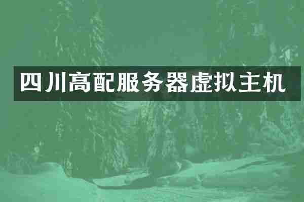 四川高配服务器虚拟主机